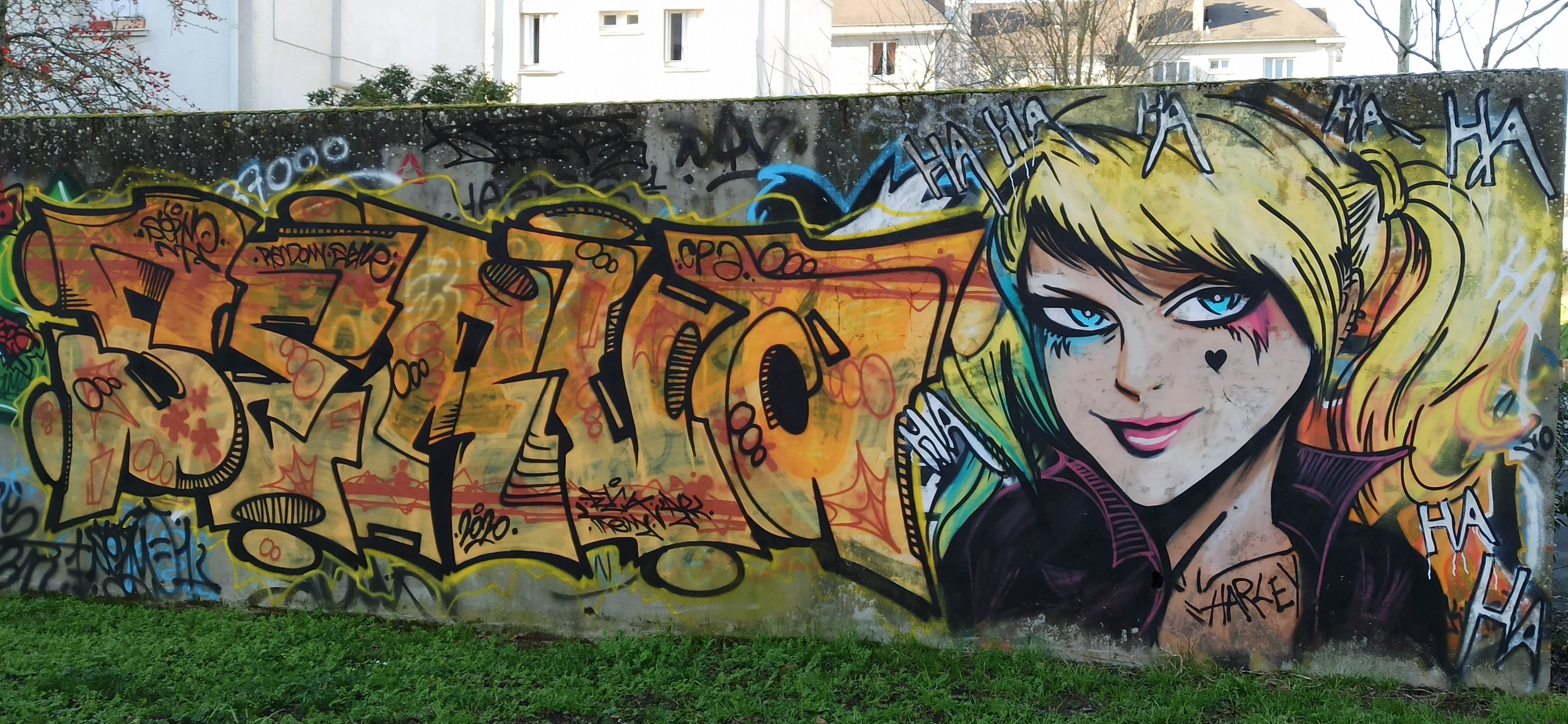 Graffiti 4703 Harley Queen captured by Rabot in Nantes France