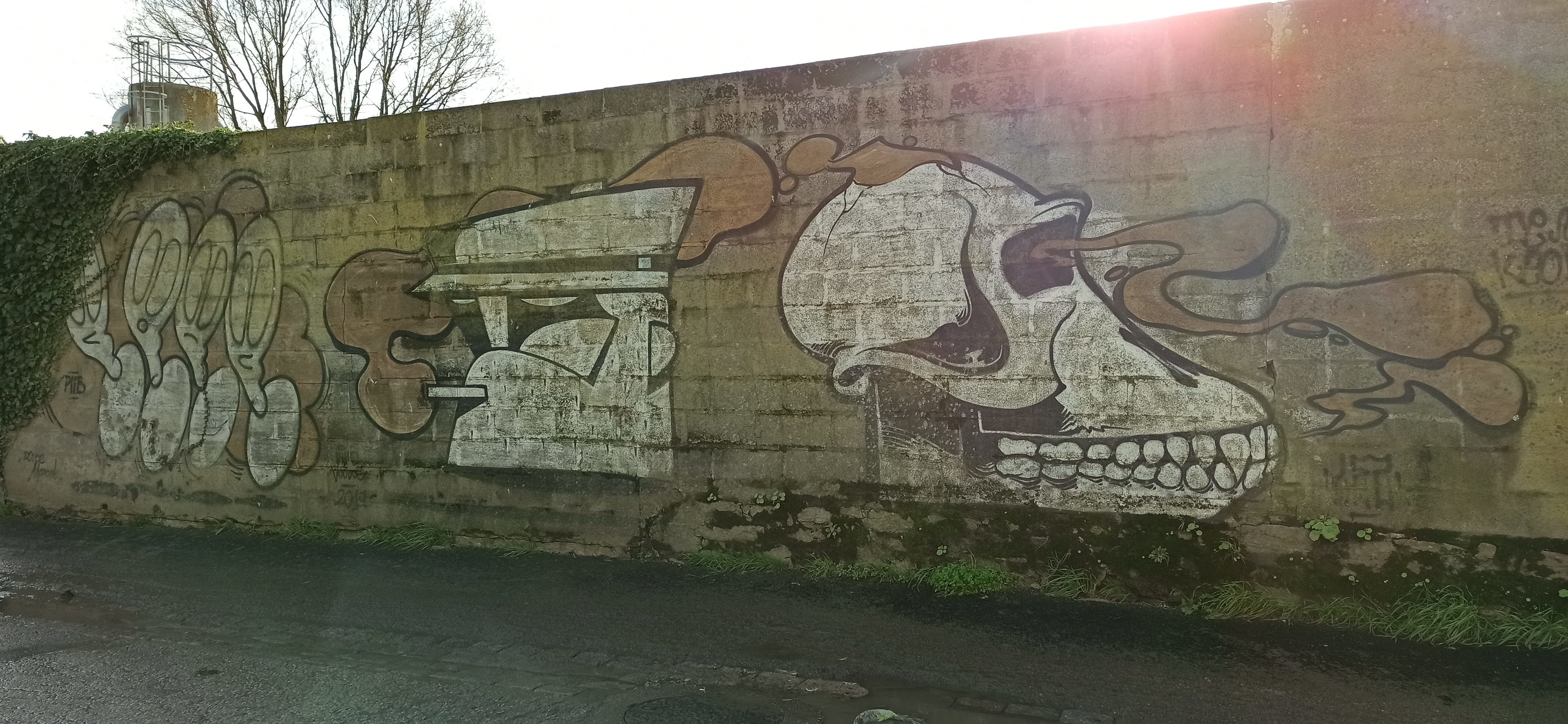 Graffiti 4826  capturé par Rabot à Lorient France