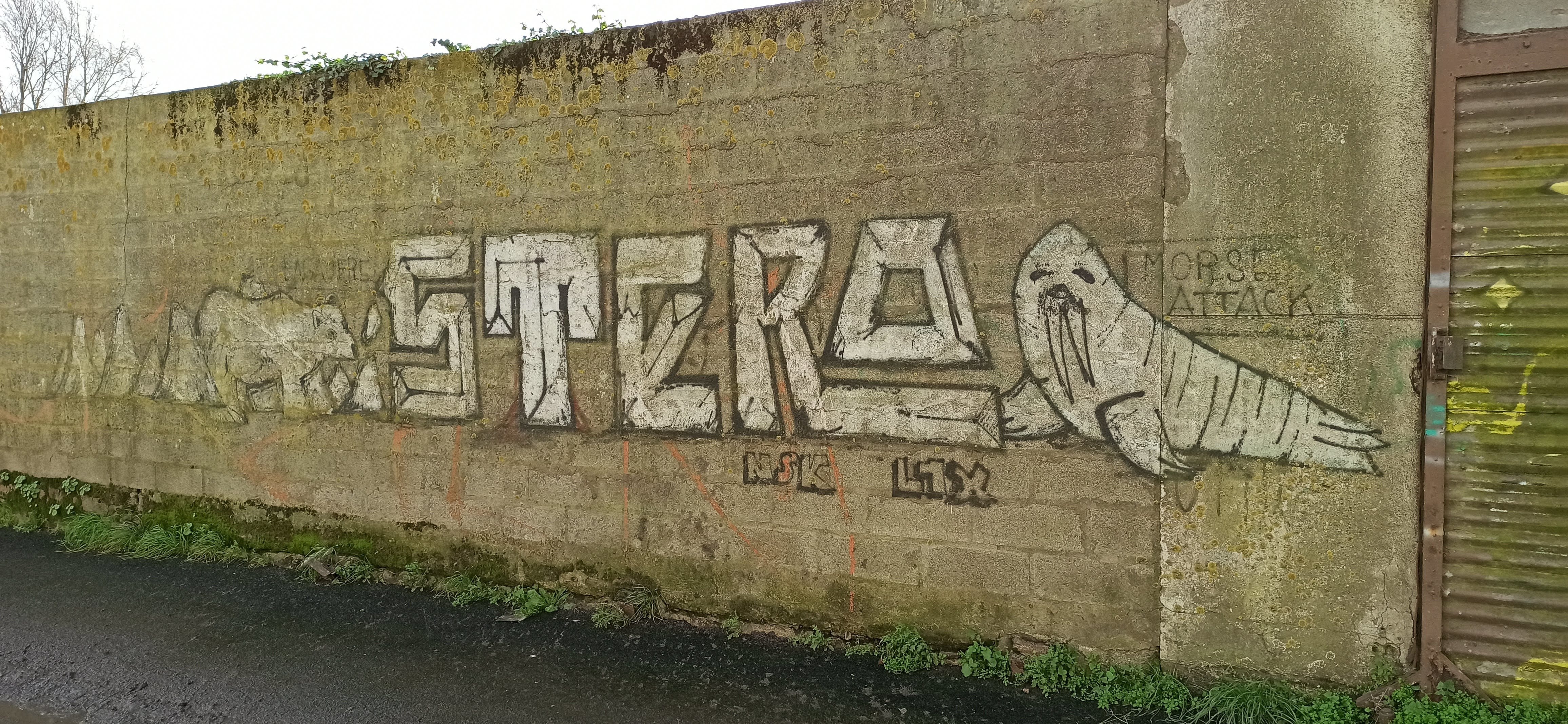 Graffiti 4828  capturé par Rabot à Lorient France