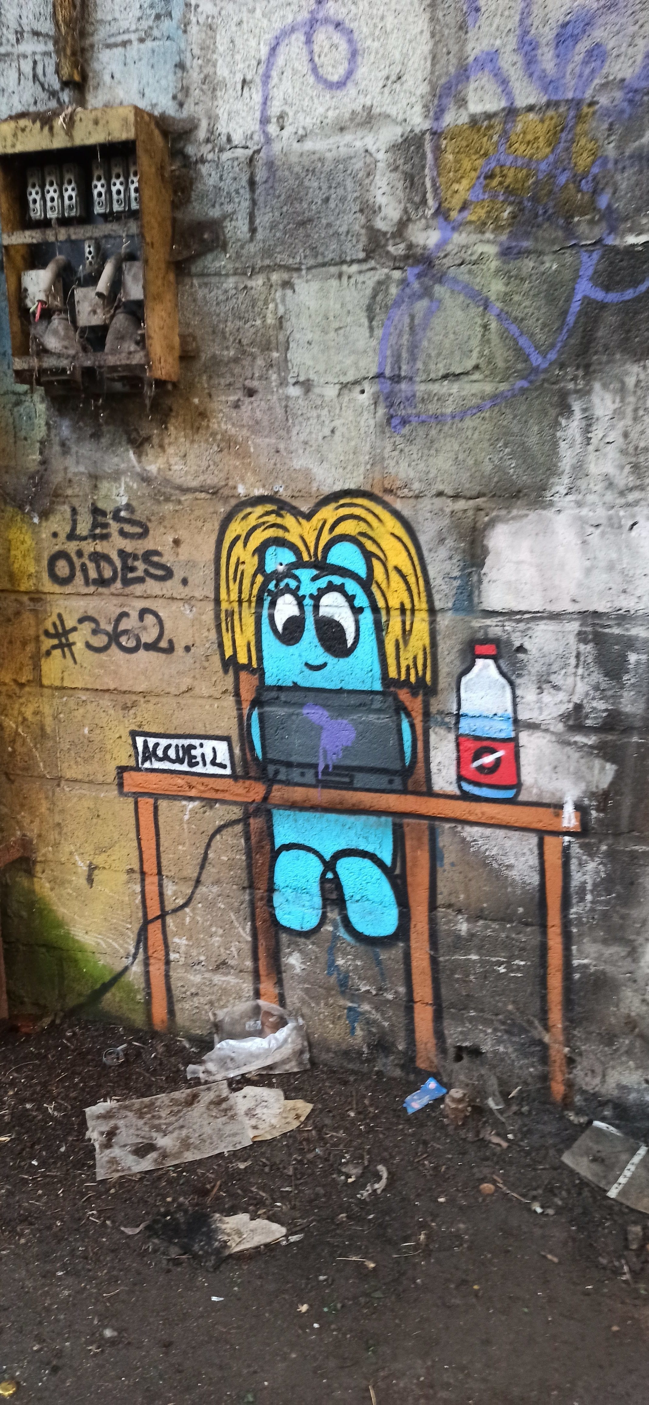 Graffiti 4831 Les oides #362 de Les Oides capturé par Rabot à Lorient France