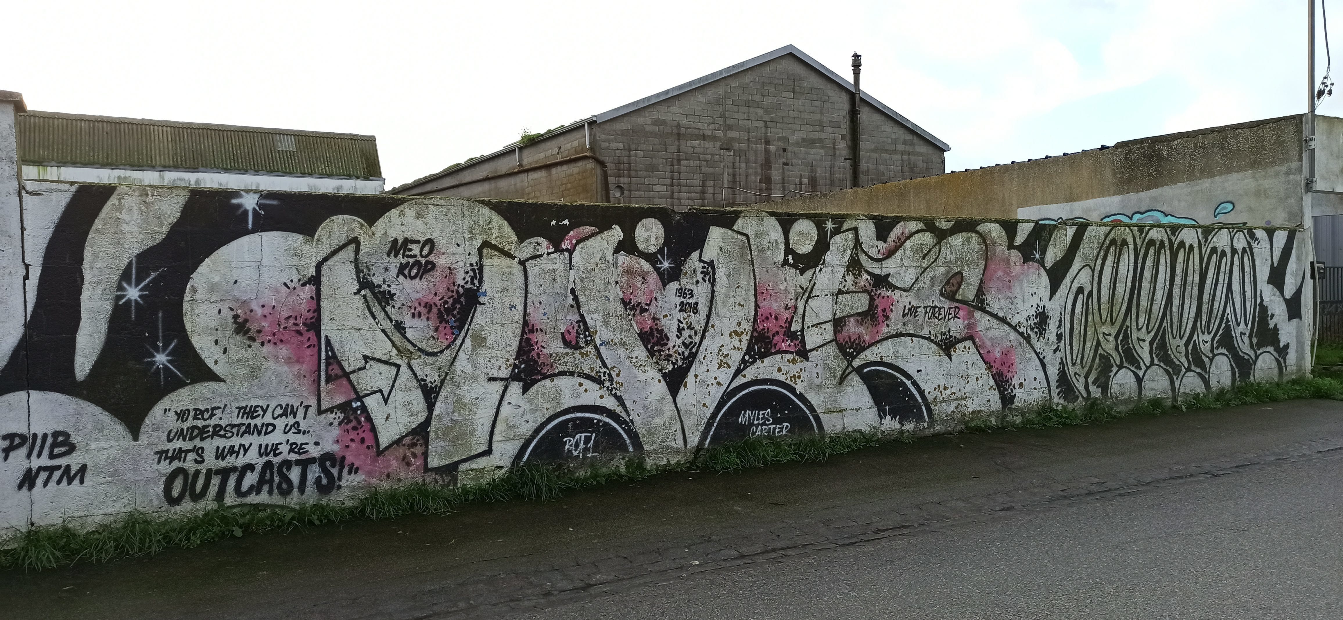Graffiti 4837  capturé par Rabot à Lorient France