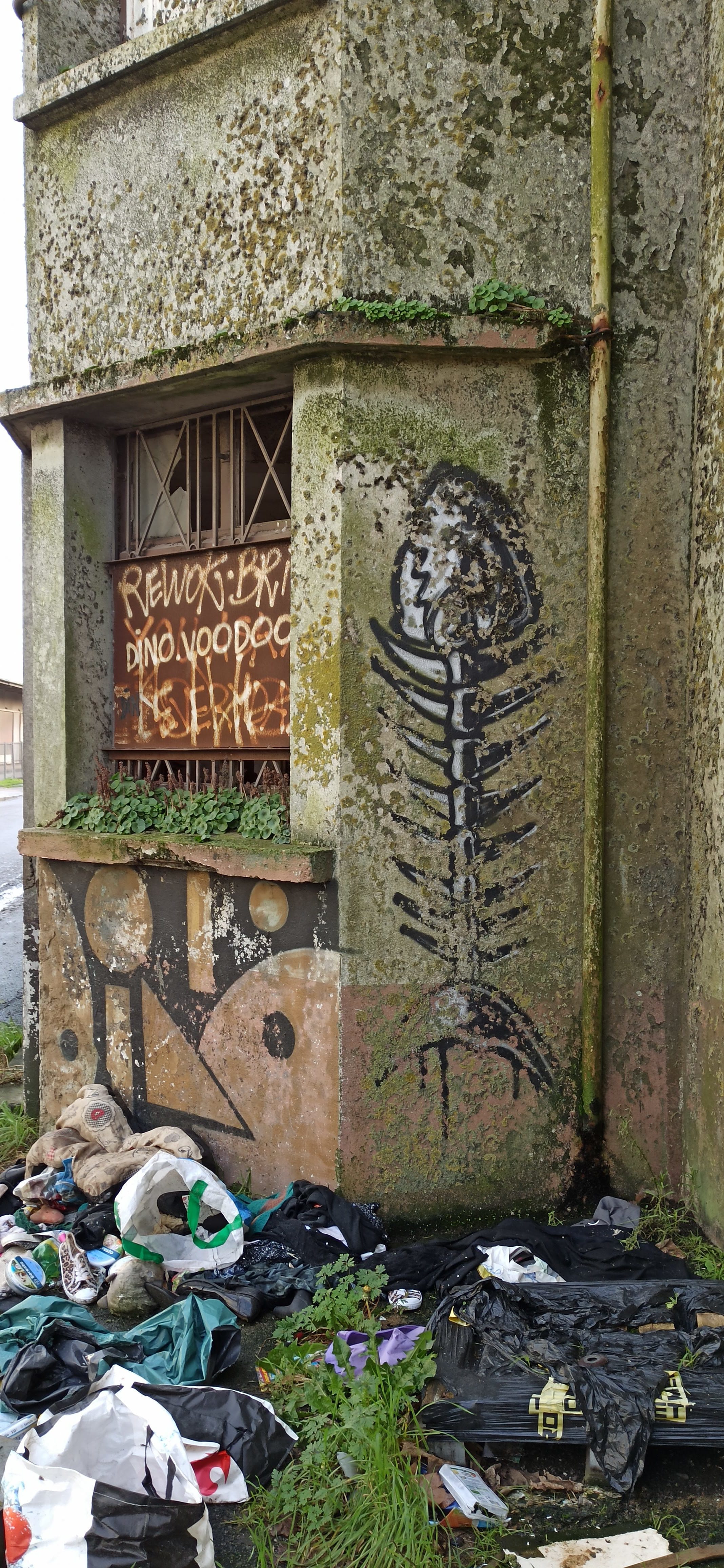 Graffiti 4841  de War capturé par Rabot à Lorient France