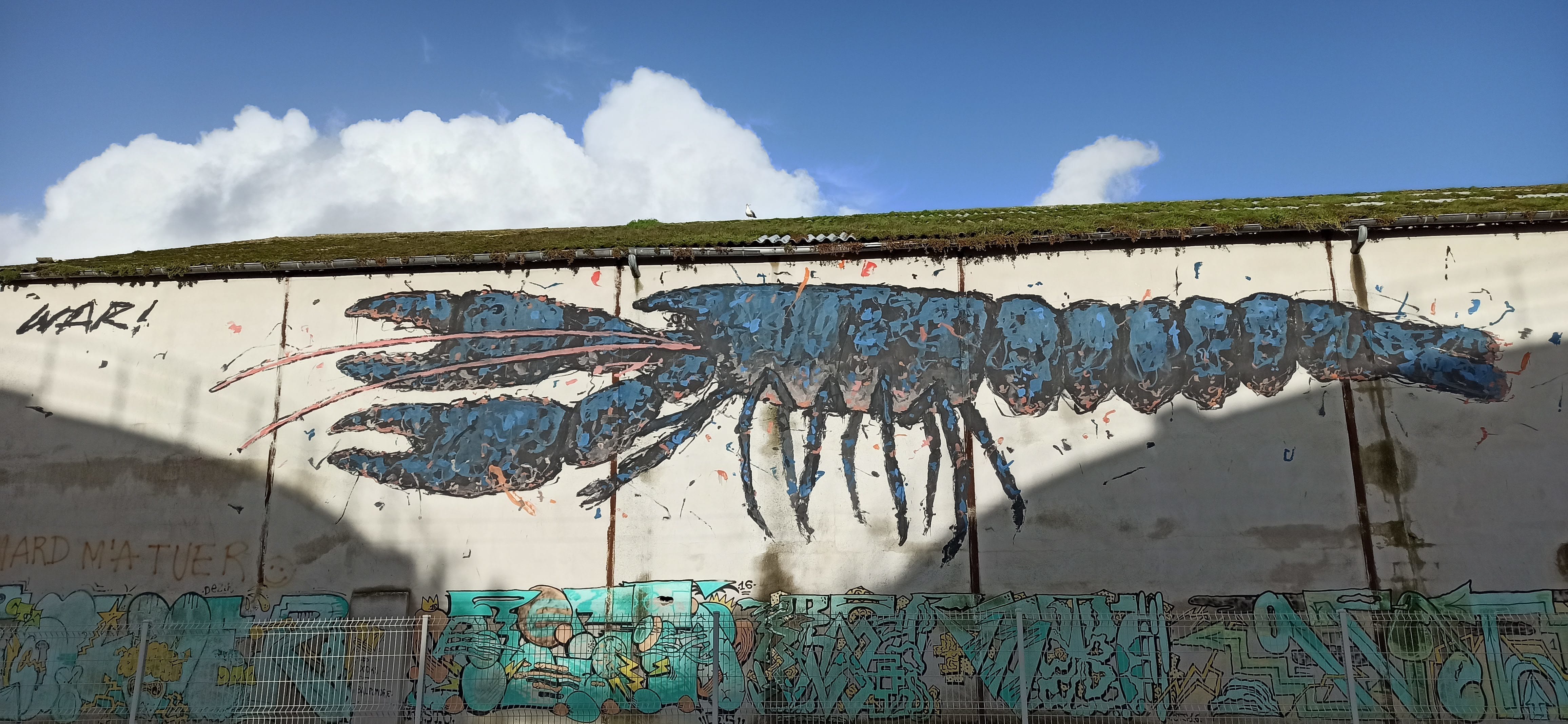 Graffiti 4843  capturé par Rabot à Lorient France
