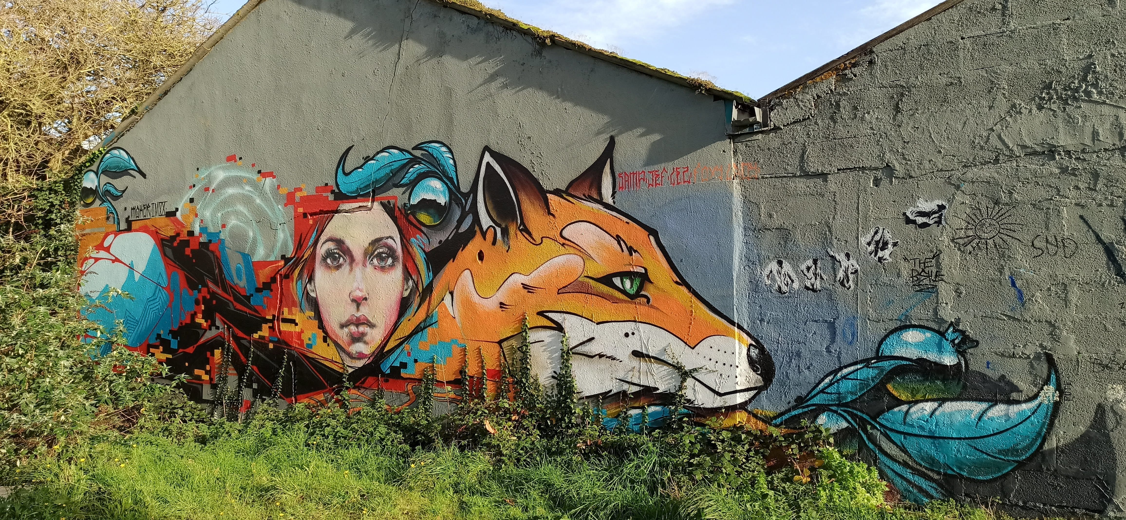 Graffiti 4869  capturé par Rabot à Lorient France