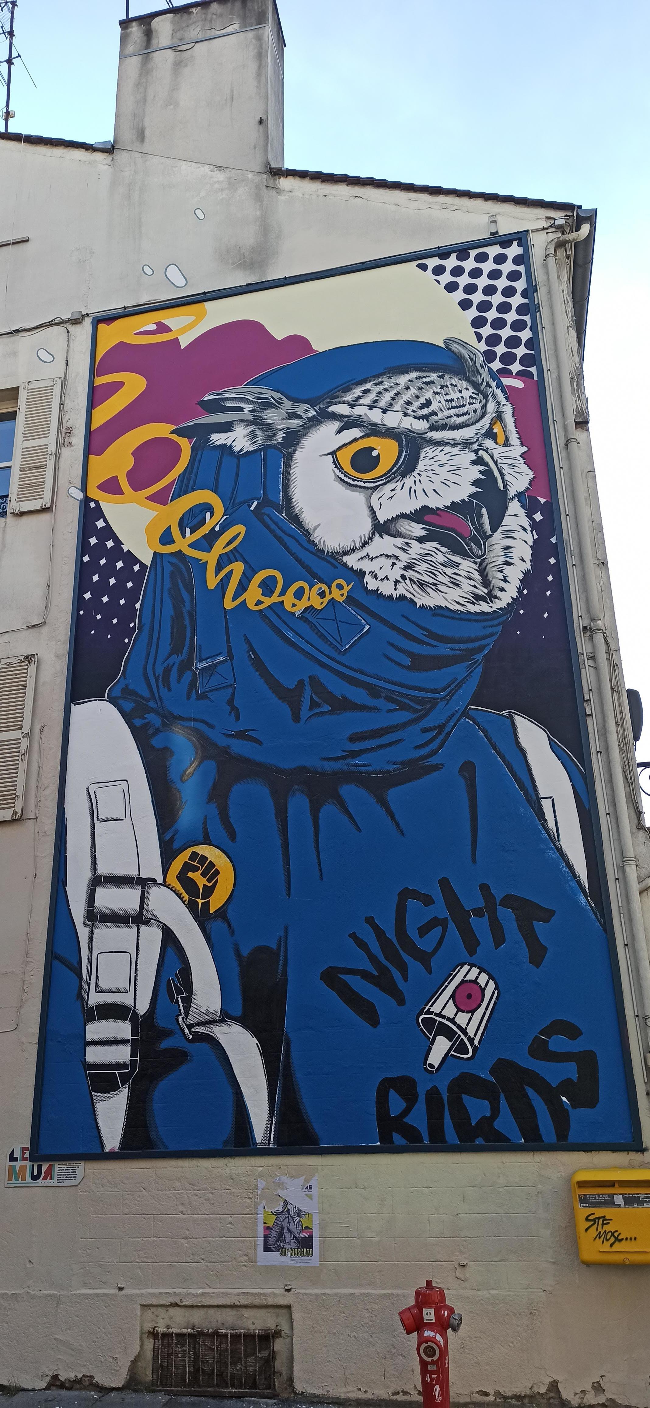 Graffiti 4931 Night birds by the artist Stephane Moscato captured by Rabot in Dijon France