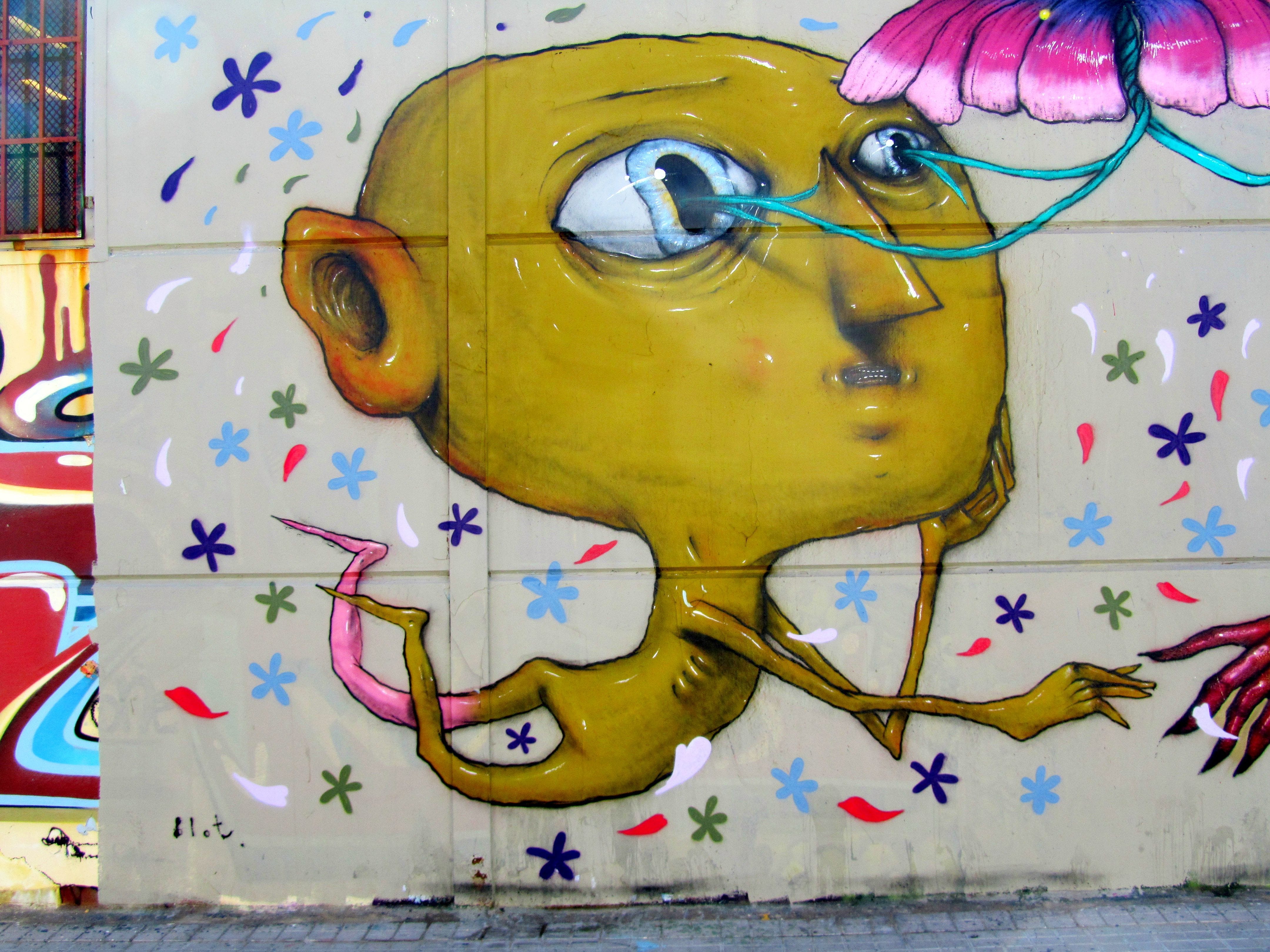 Graffiti 4953  by the artist Sasha Blot captured by elettrotajik in Sedavi Spain