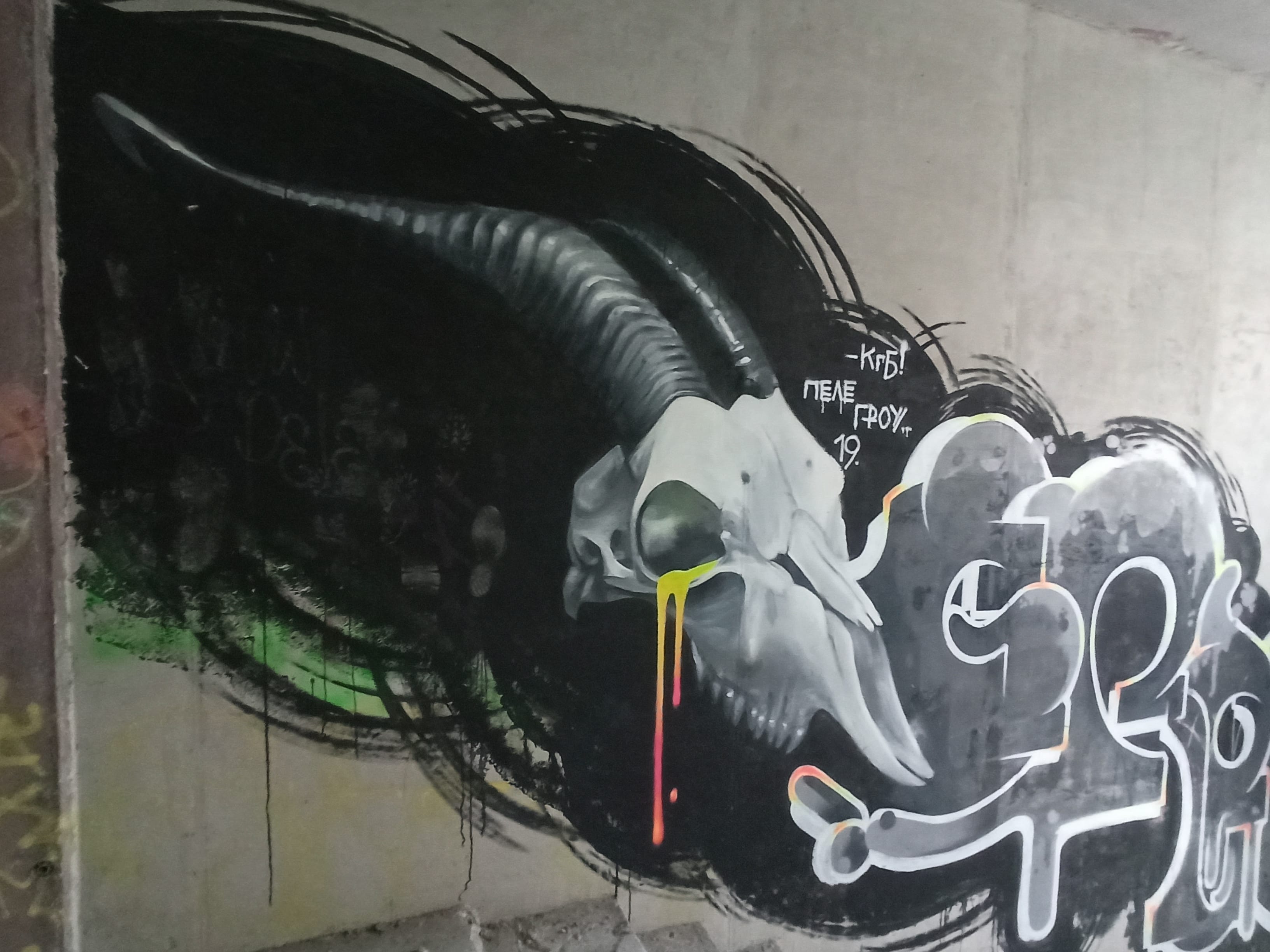Graffiti 4954  de Ira Pele capturé par elettrotajik à Mytishchi Russia