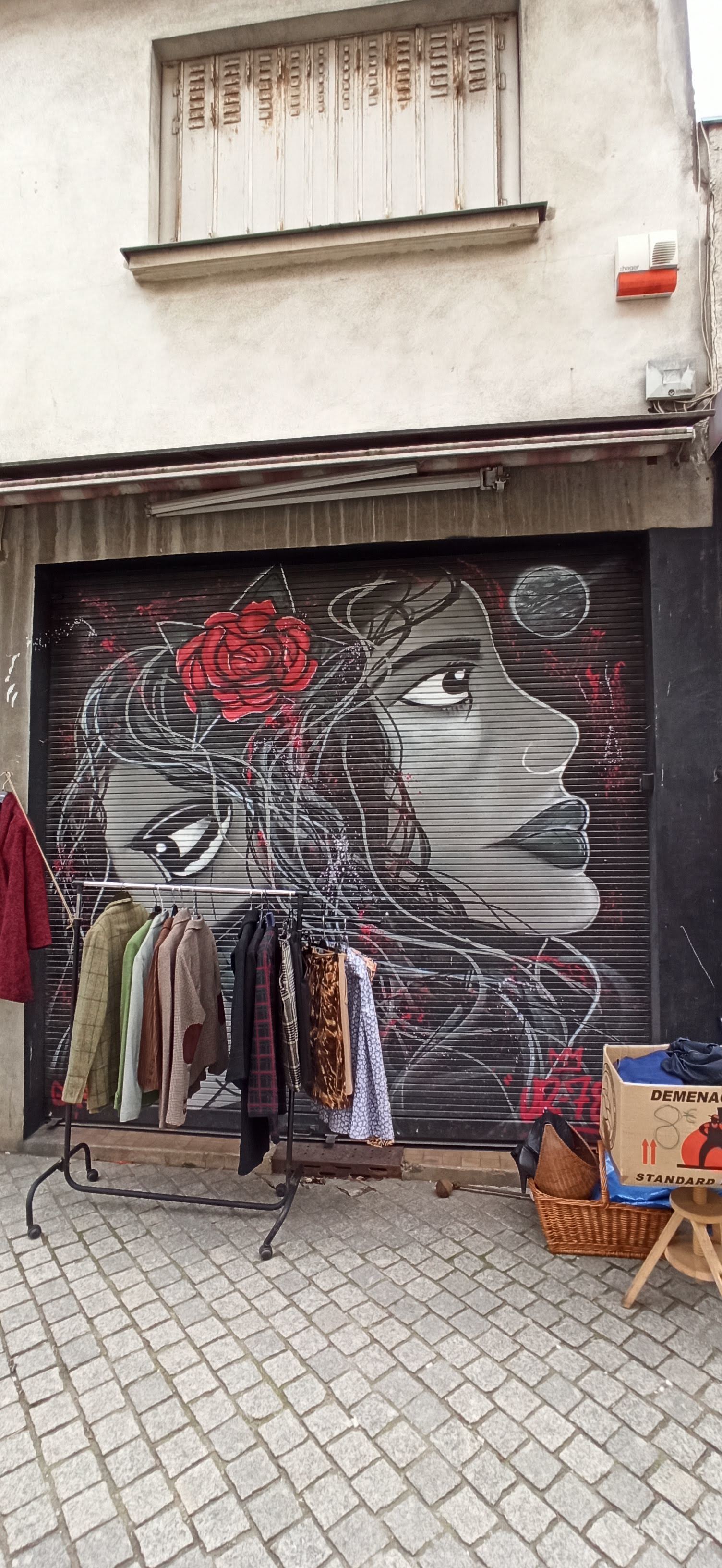 Graffiti 5019 Lady rose capturé par Rabot à Saint-Ouen France