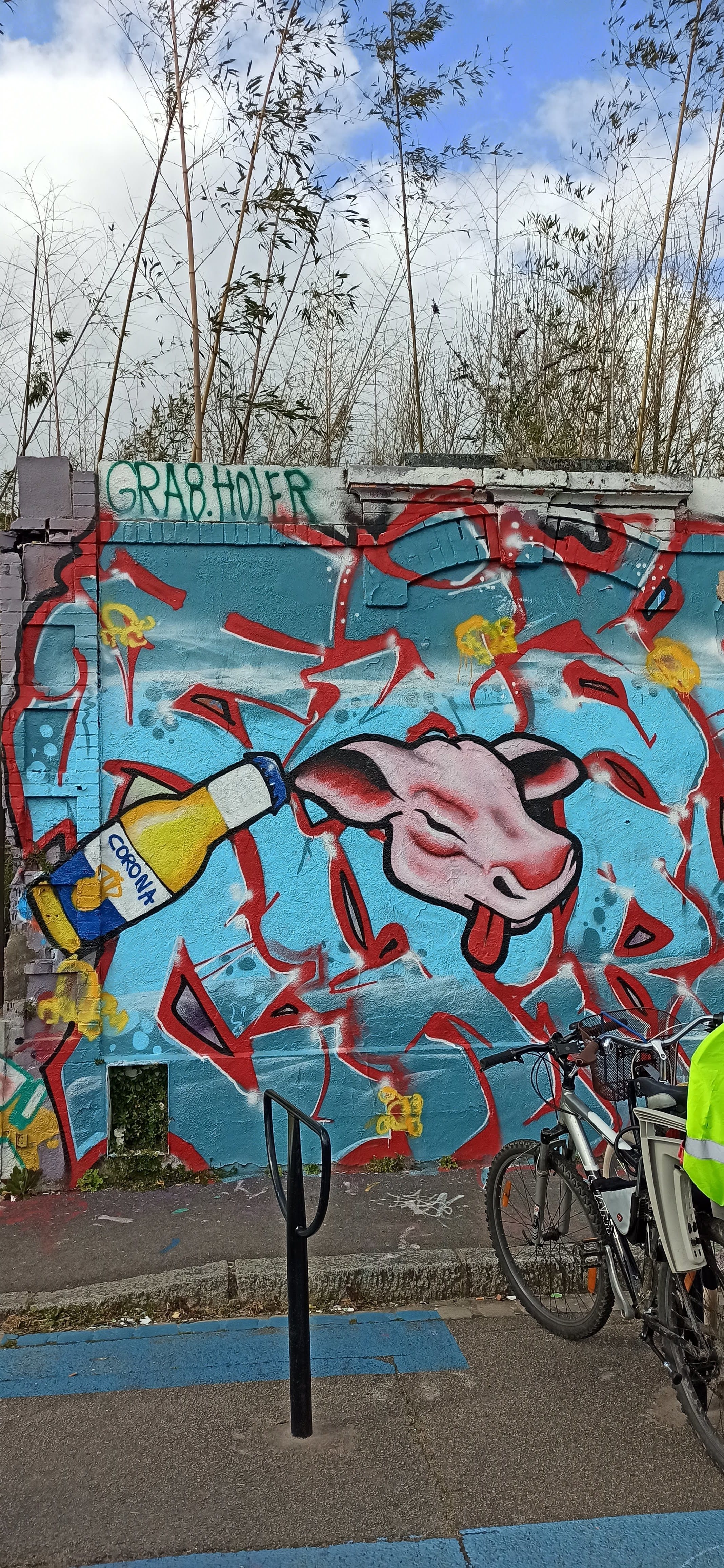 Graffiti 5037  capturé par Rabot à Nantes France