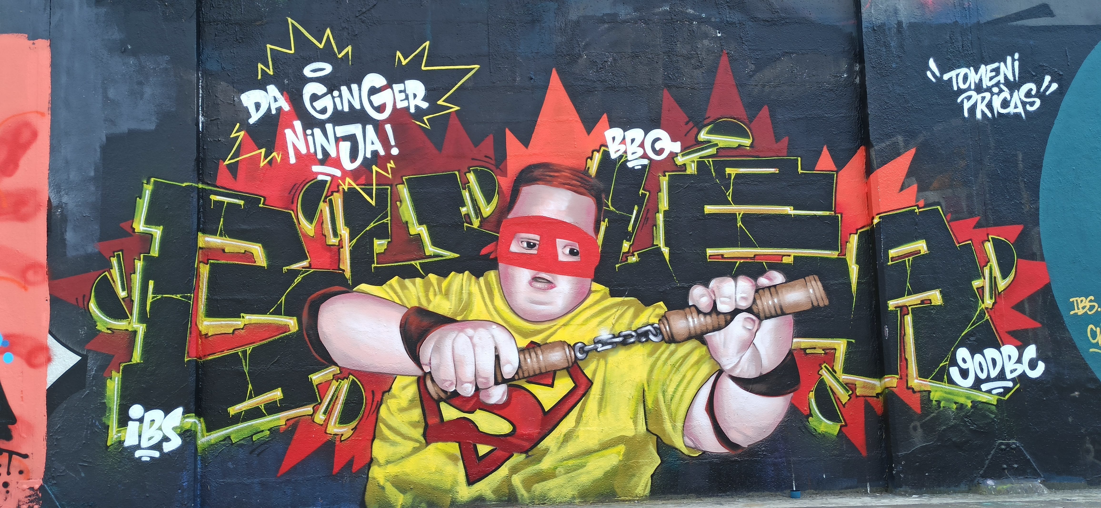 Graffiti 5056  capturé par Rabot à Nantes France
