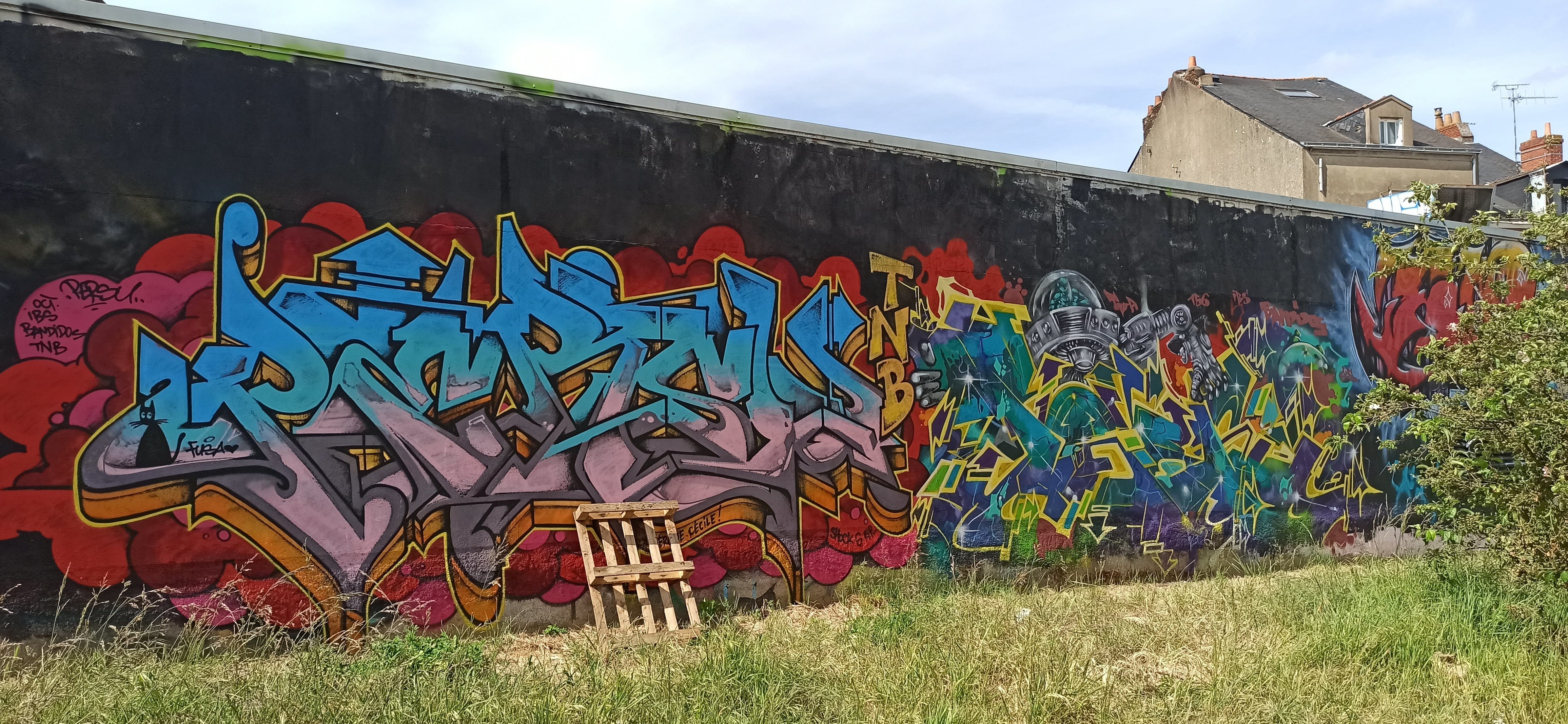 Graffiti 5060  capturé par Rabot à Nantes France