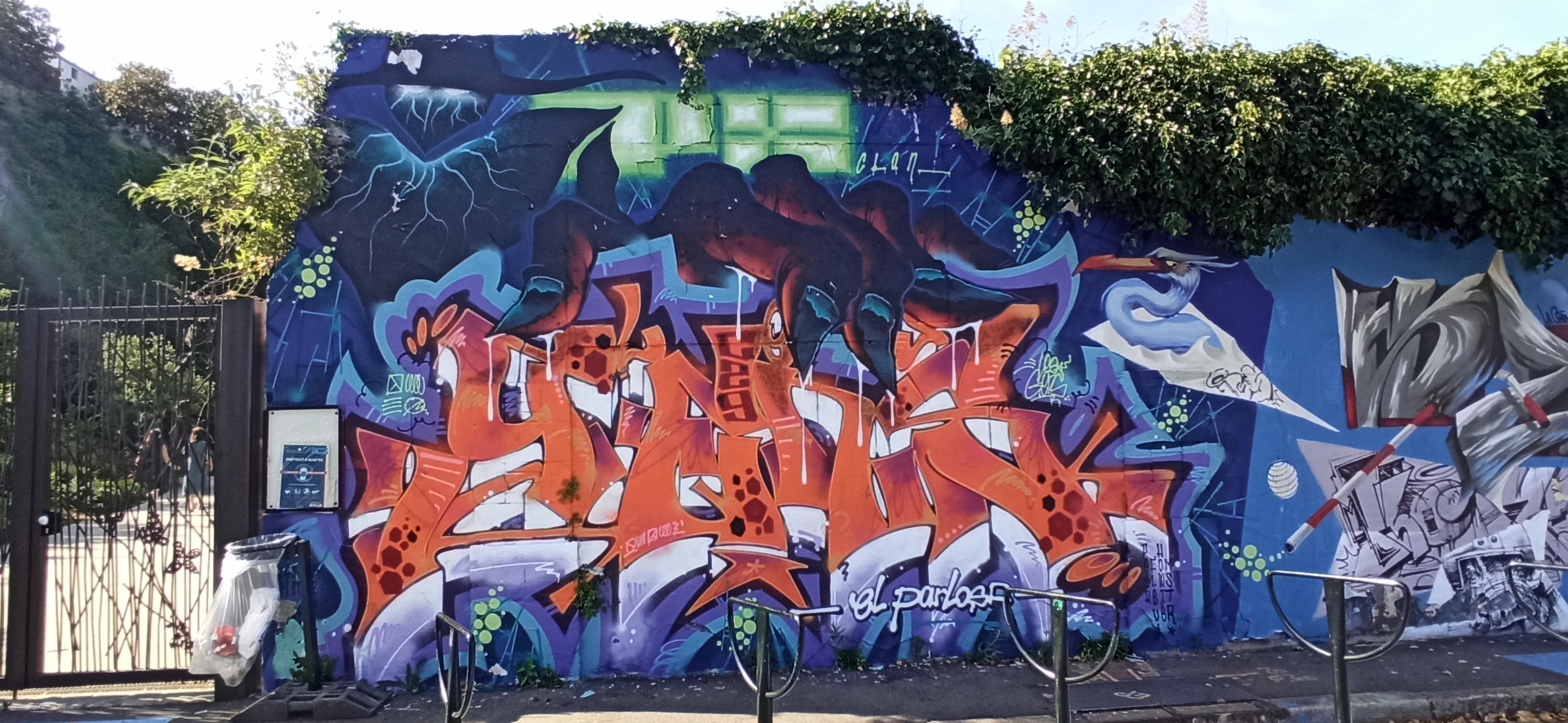 Graffiti 5119  capturé par Rabot à Nantes France