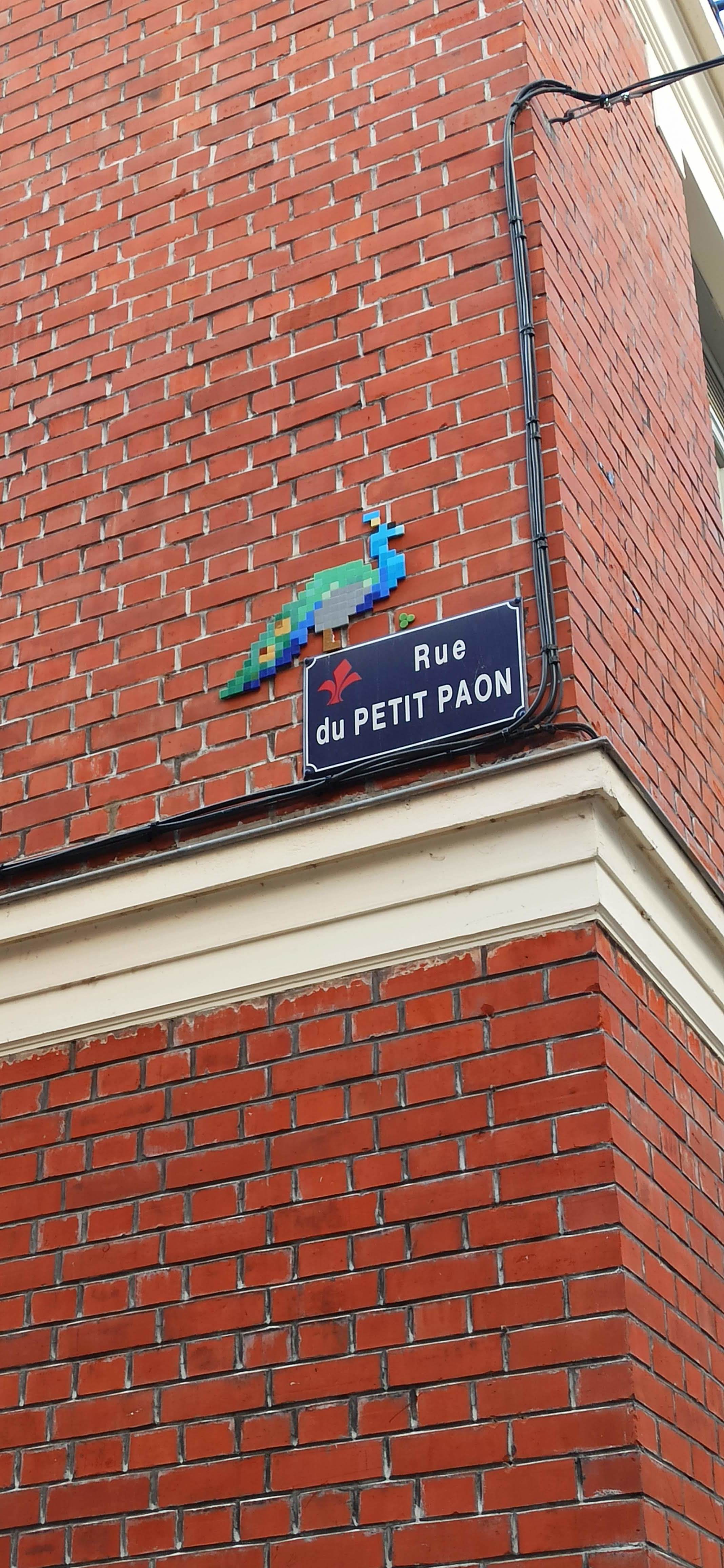 Mosaic 5189 Rue du petit paon by the artist Mifamosa captured by Rabot in Lille France