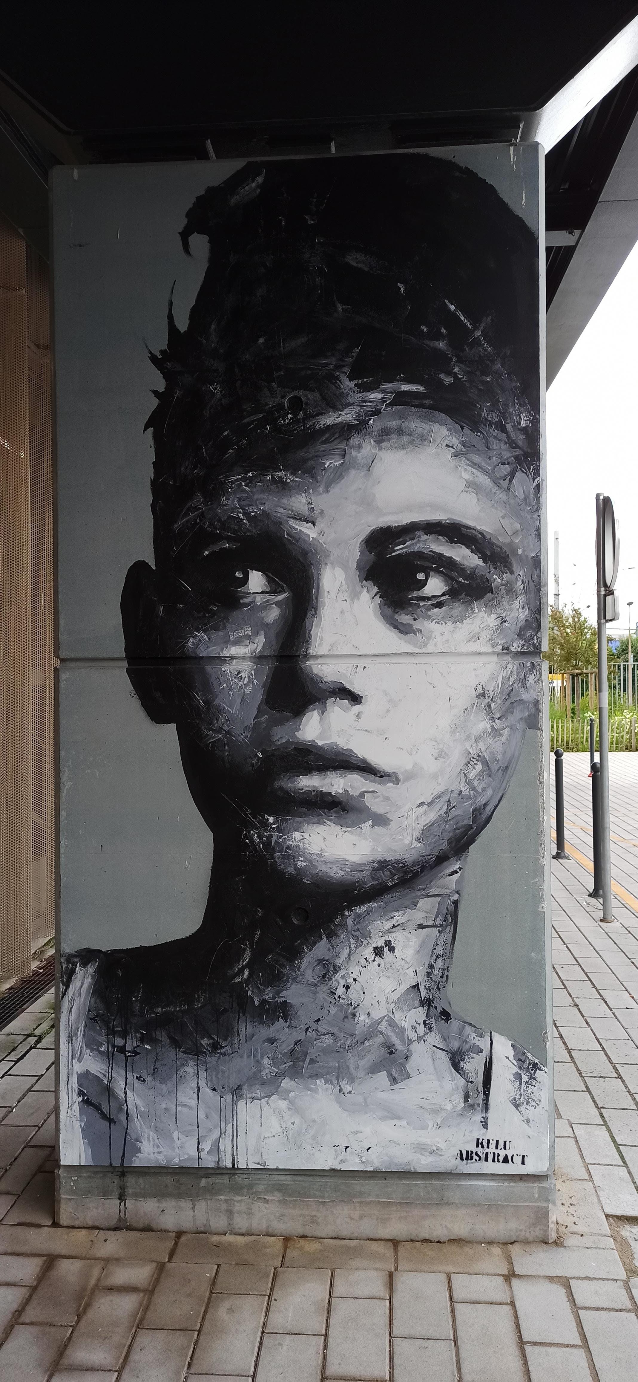 Graffiti 5240  by the artist Jef Aérosol captured by Rabot in Roubaix France