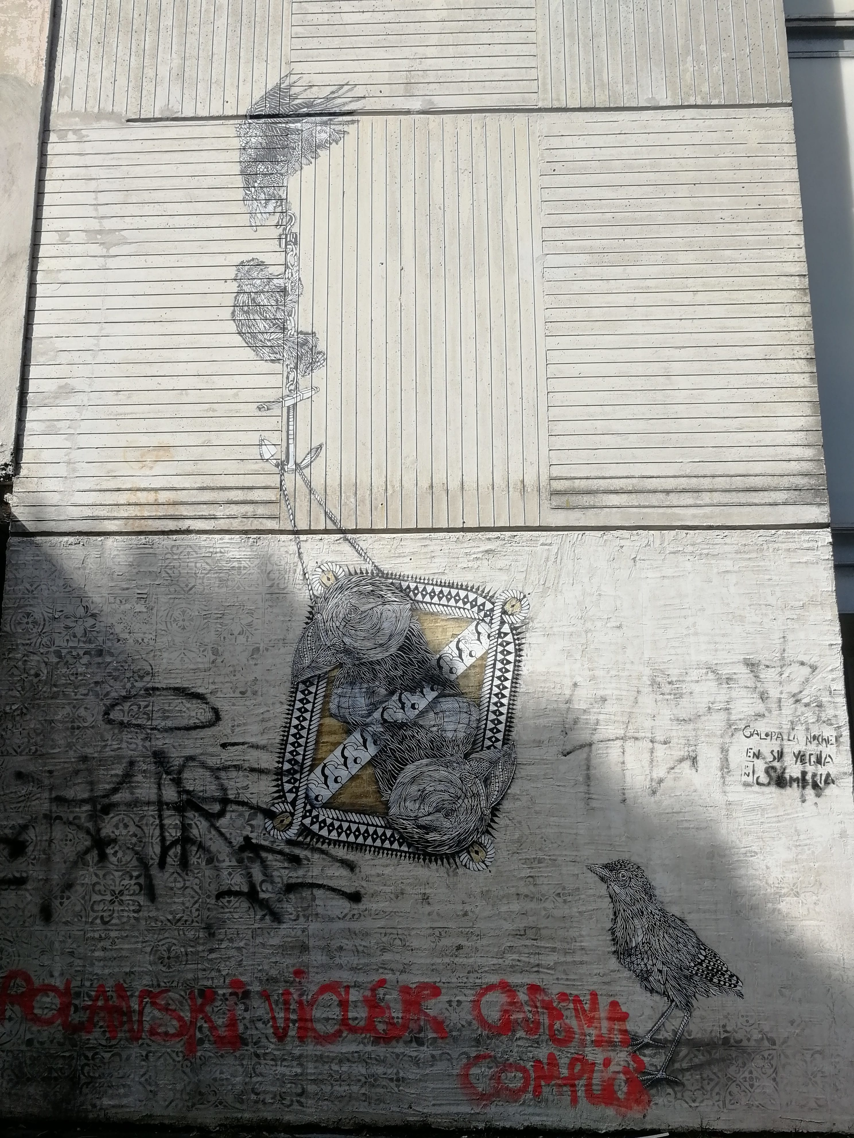 Graffiti 5260  de Monkey Bird capturé par Rabot à Pessac France