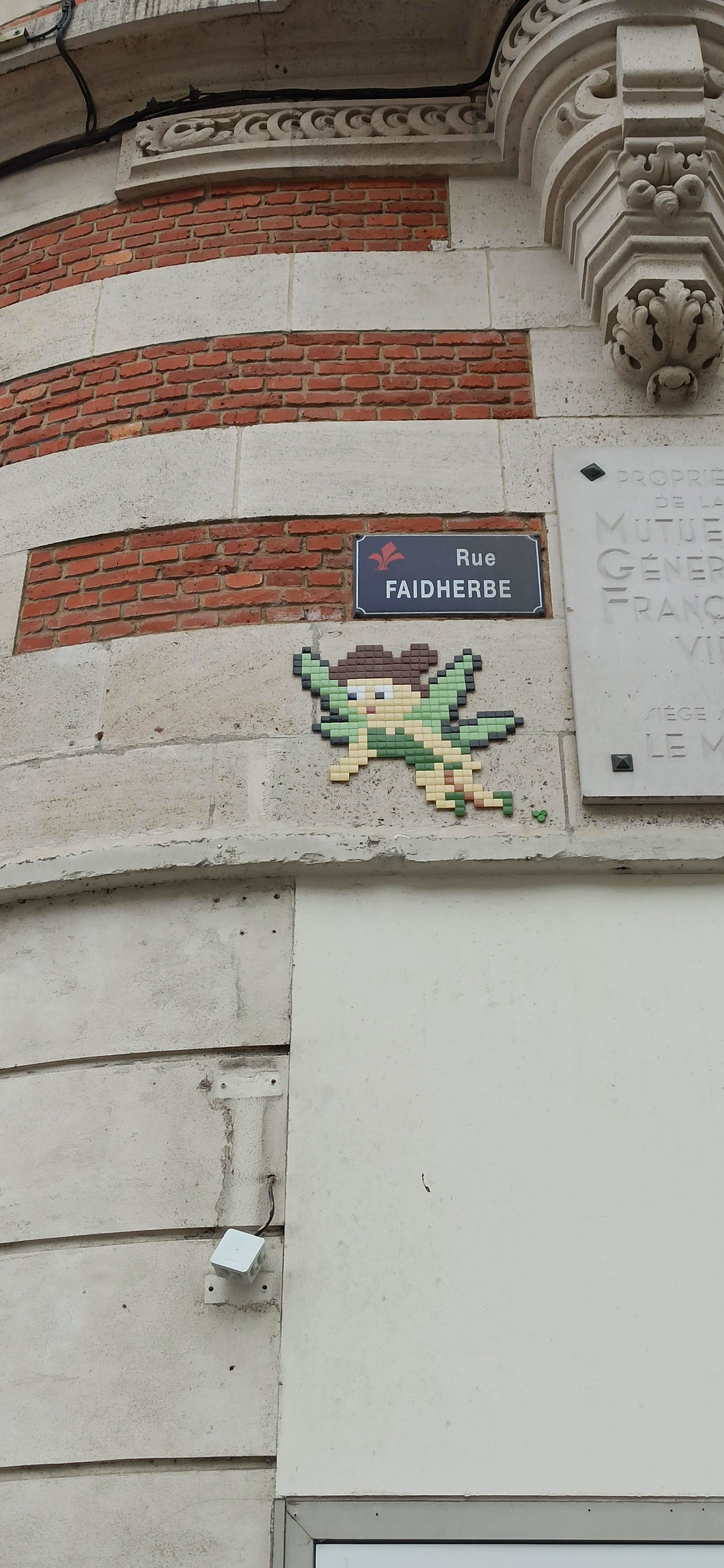 Mosaic 5266 Faidherbe de Mifamosa capturé par Rabot à Lille France
