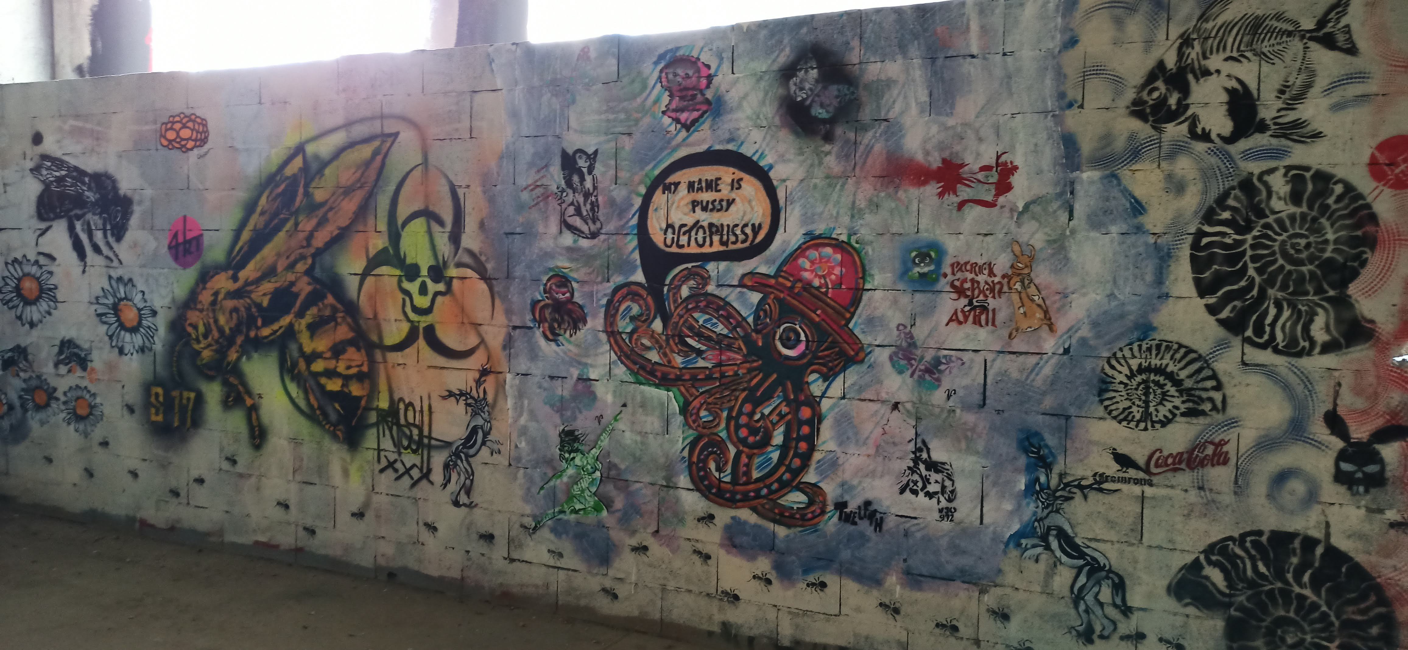 Graffiti 5491 My name is pussy, octopussy capturé par Rabot à Paris France