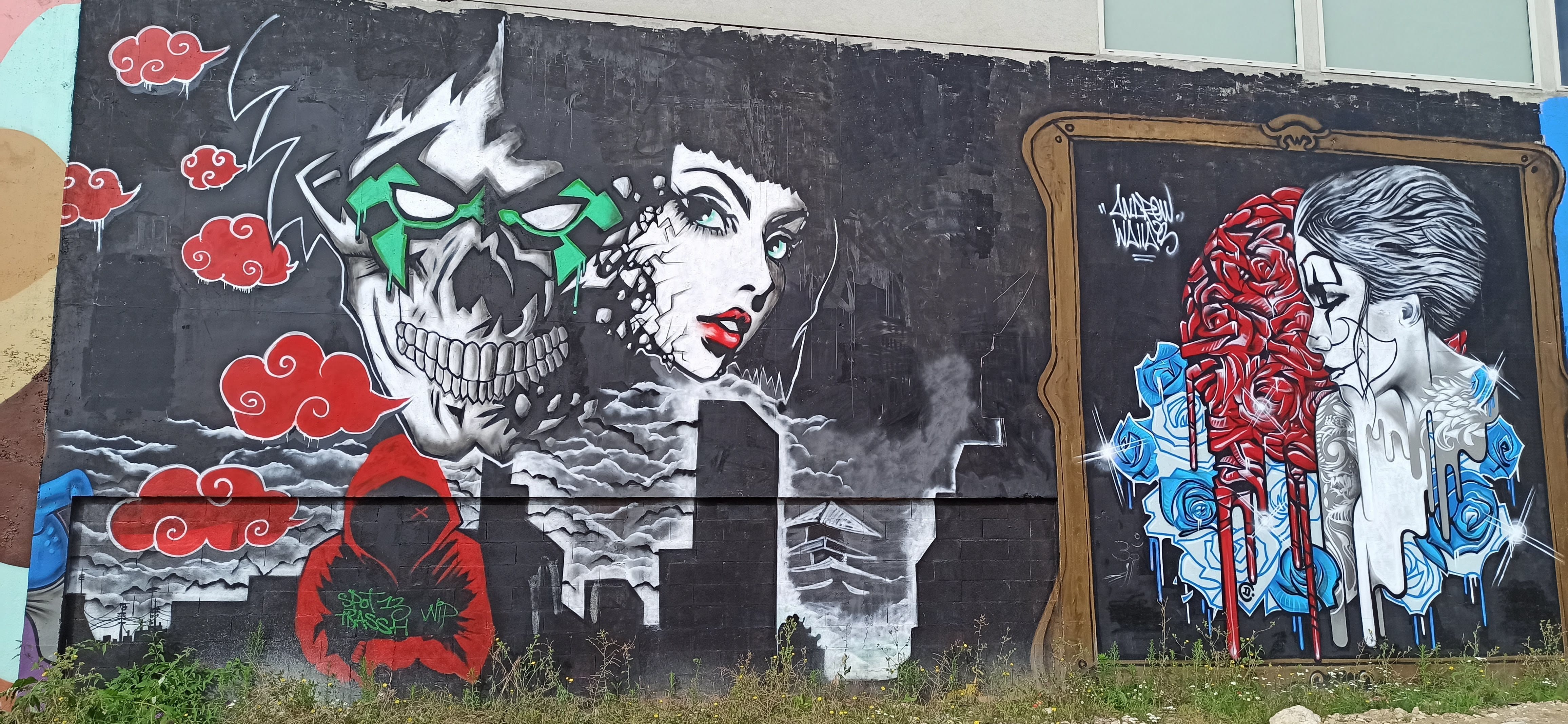 Graffiti 5502  capturé par Rabot à Paris France