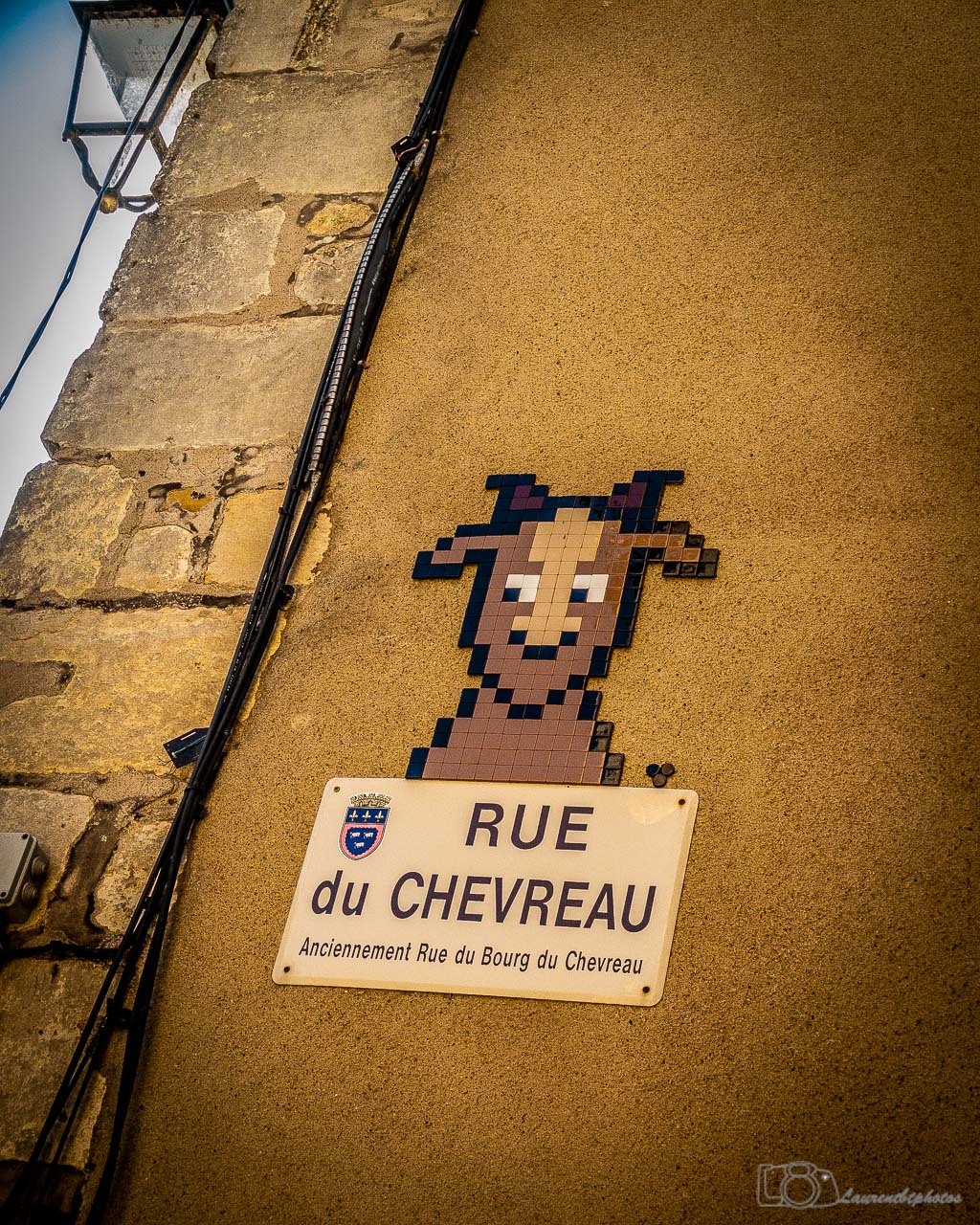 Mosaic 6242 Le chevreau de Mifamosa capturé par laurentbtphotos à Bourges France