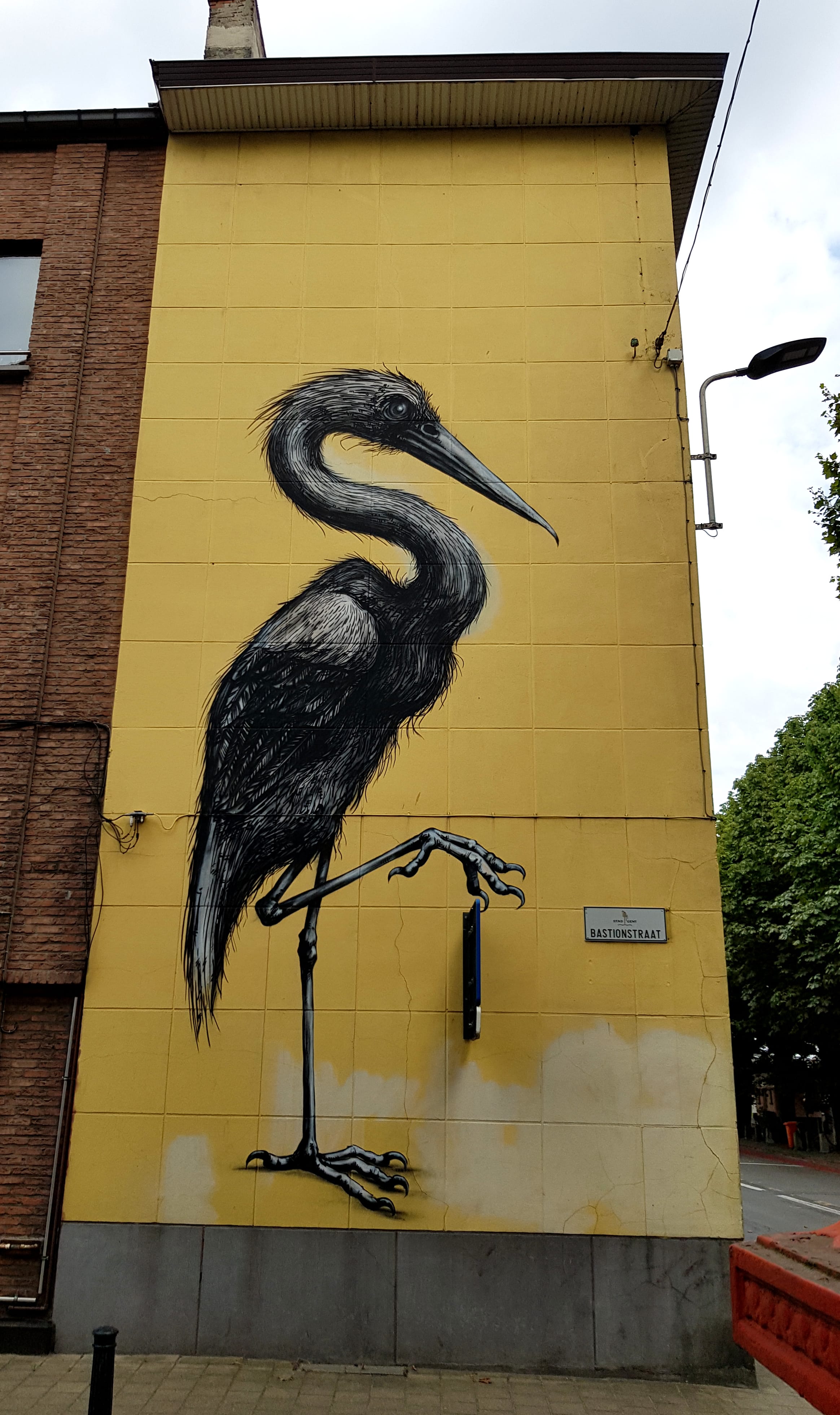 Graffiti 6328  by the artist Roa captured by Mephisroth in Gent Belgium