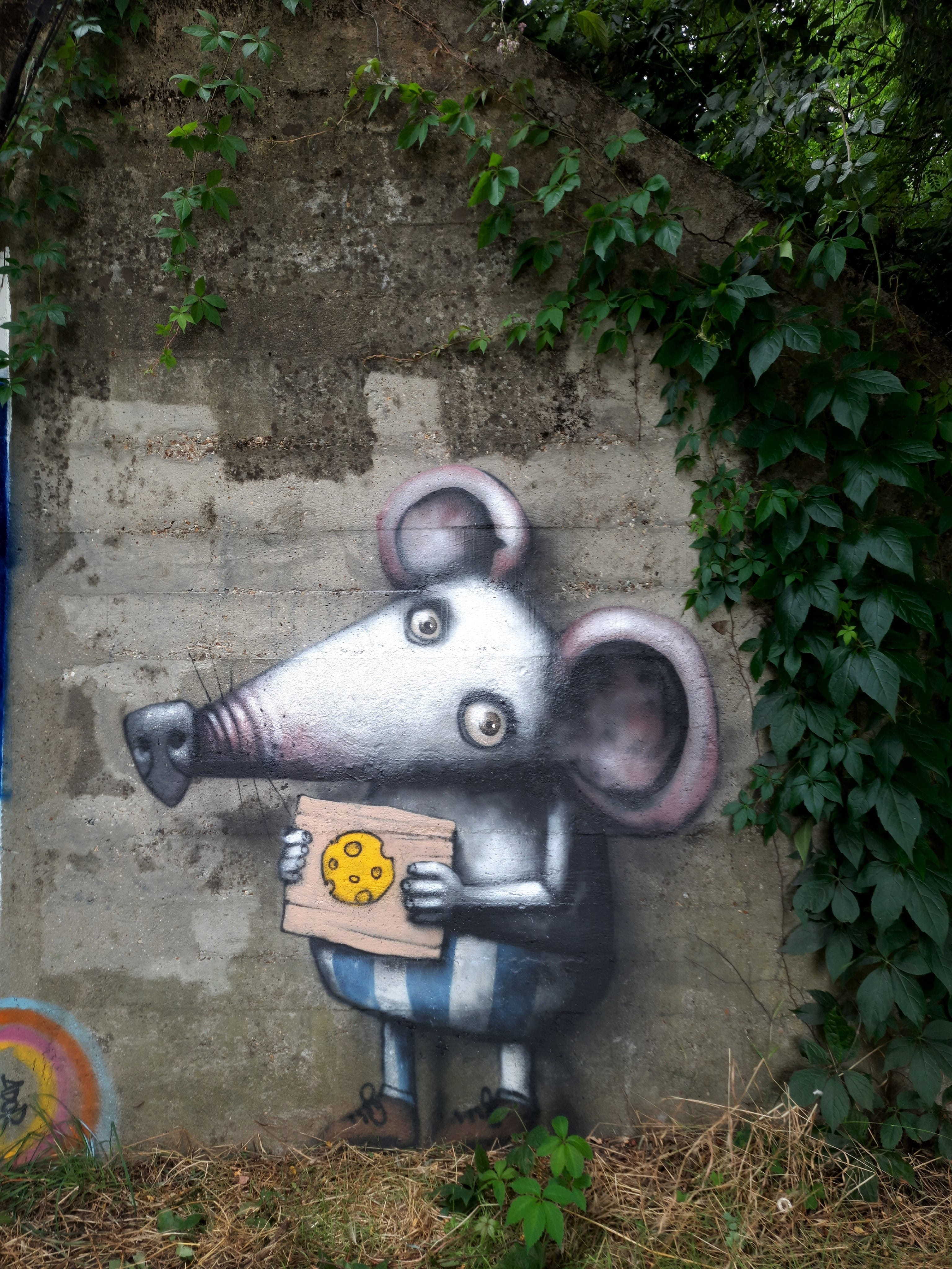 Graffiti 6448  by the artist Ador captured by Mephisroth in Le Mans France