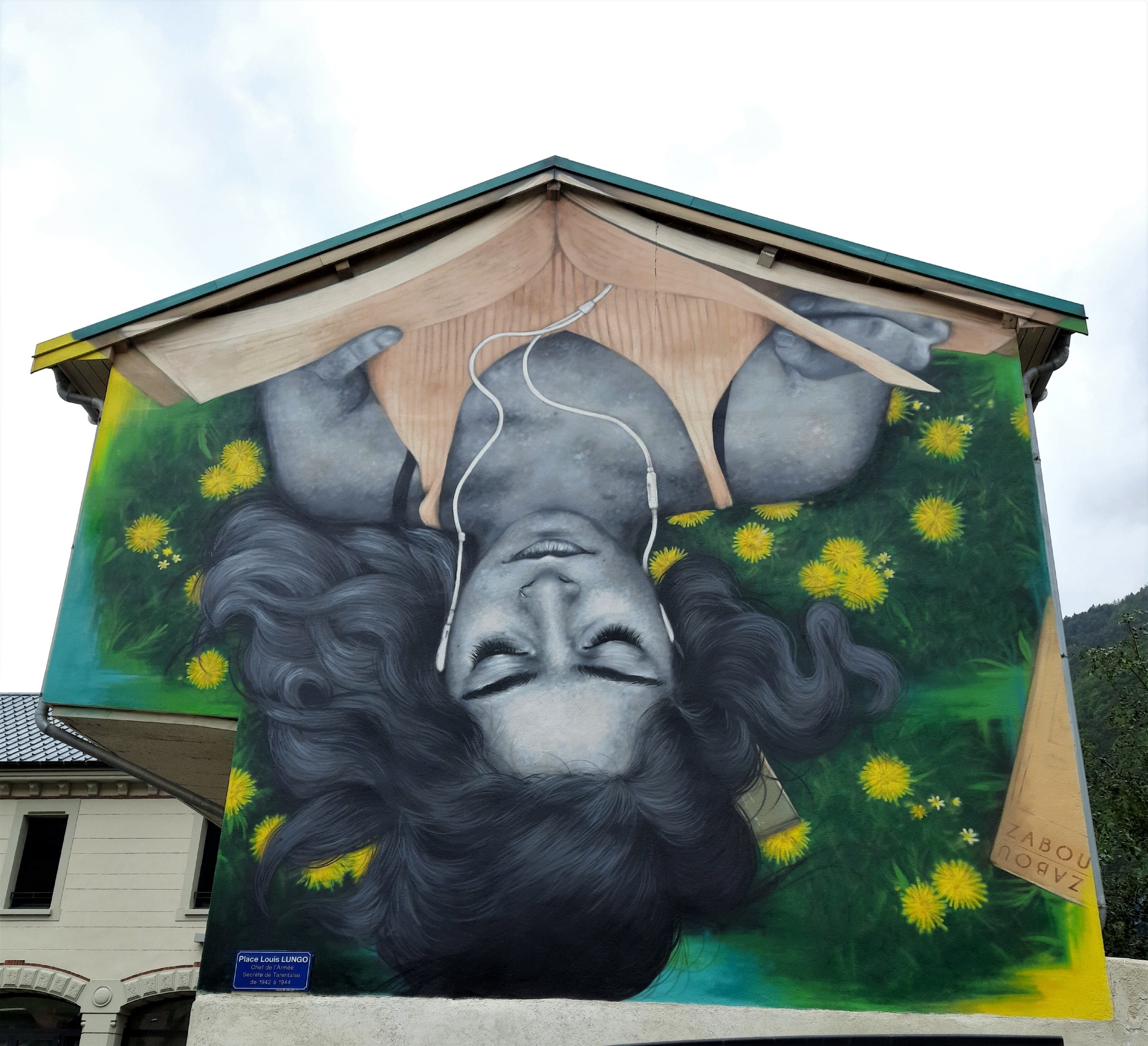 Graffiti 6498  by the artist ZABOU captured by Mephisroth in Moutiers France