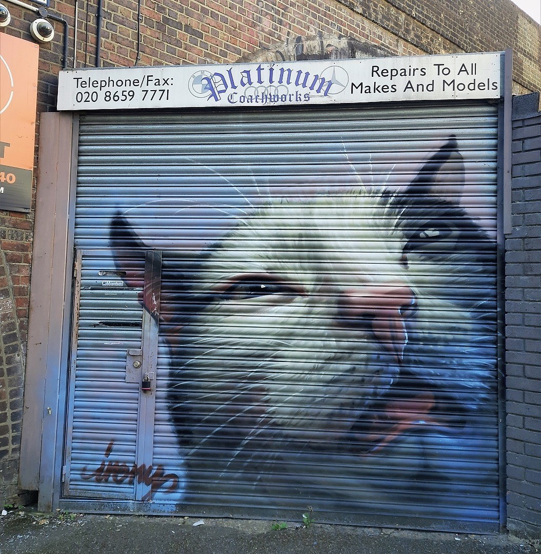 Graffiti 6558  de IRONY capturé par Mephisroth à london United Kingdom