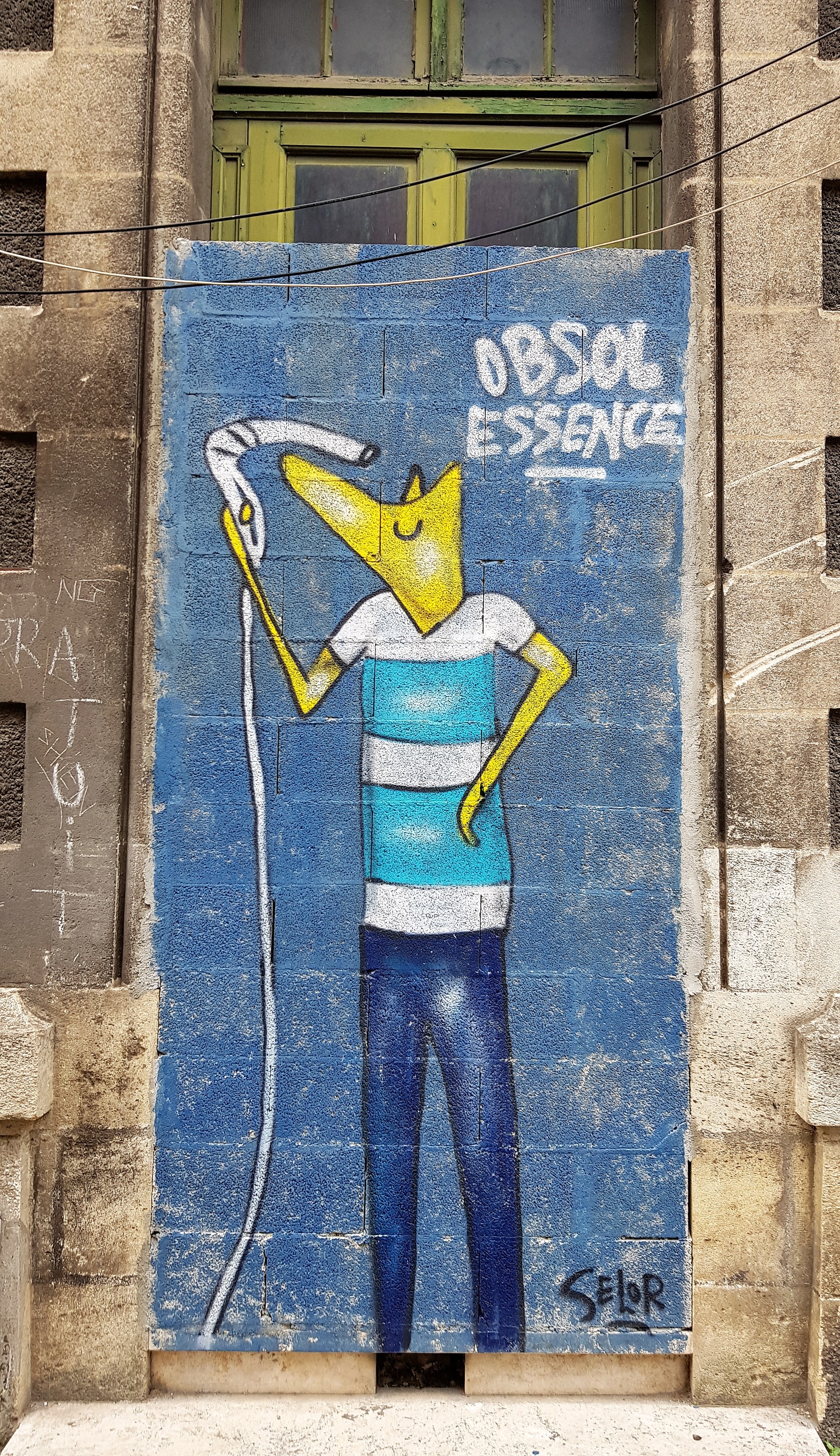 Graffiti 6873  de Selor capturé par Mephisroth à Bordeaux France