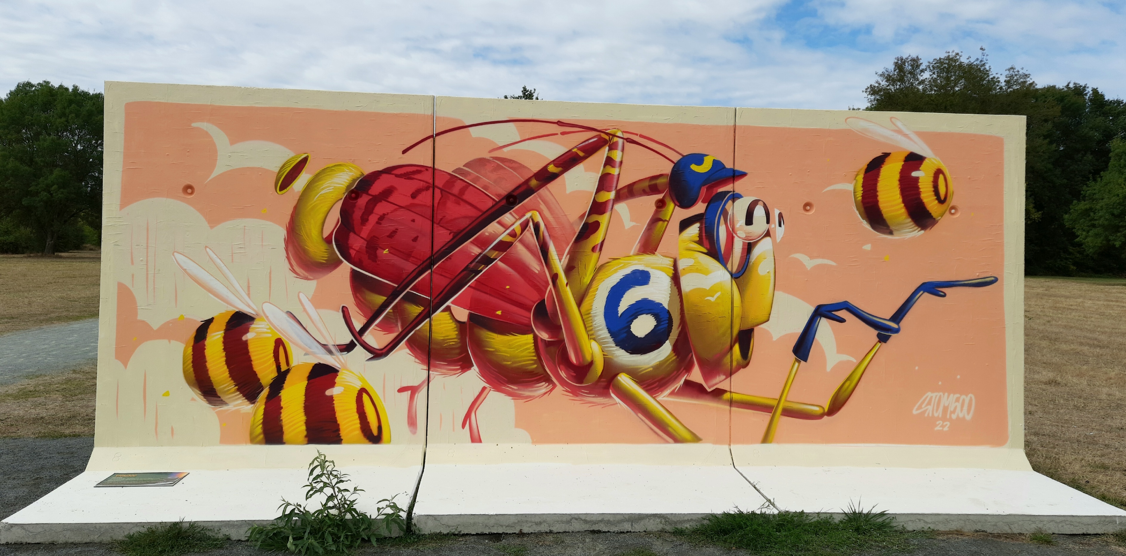 Graffiti 6946  by the artist Stom500 captured by Mephisroth in Le Mans France