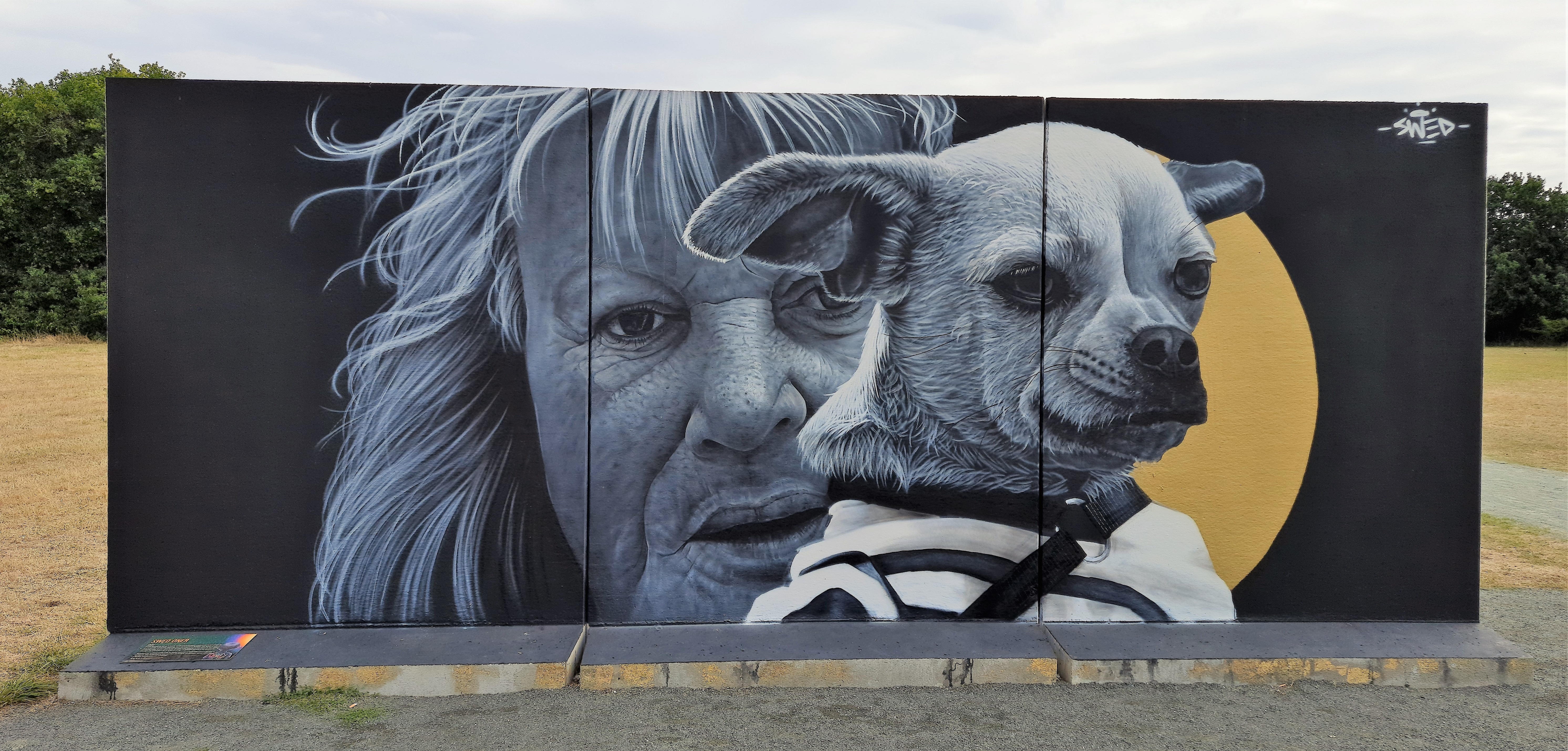 Graffiti 6951  by the artist SWED ONER captured by Mephisroth in Le Mans France