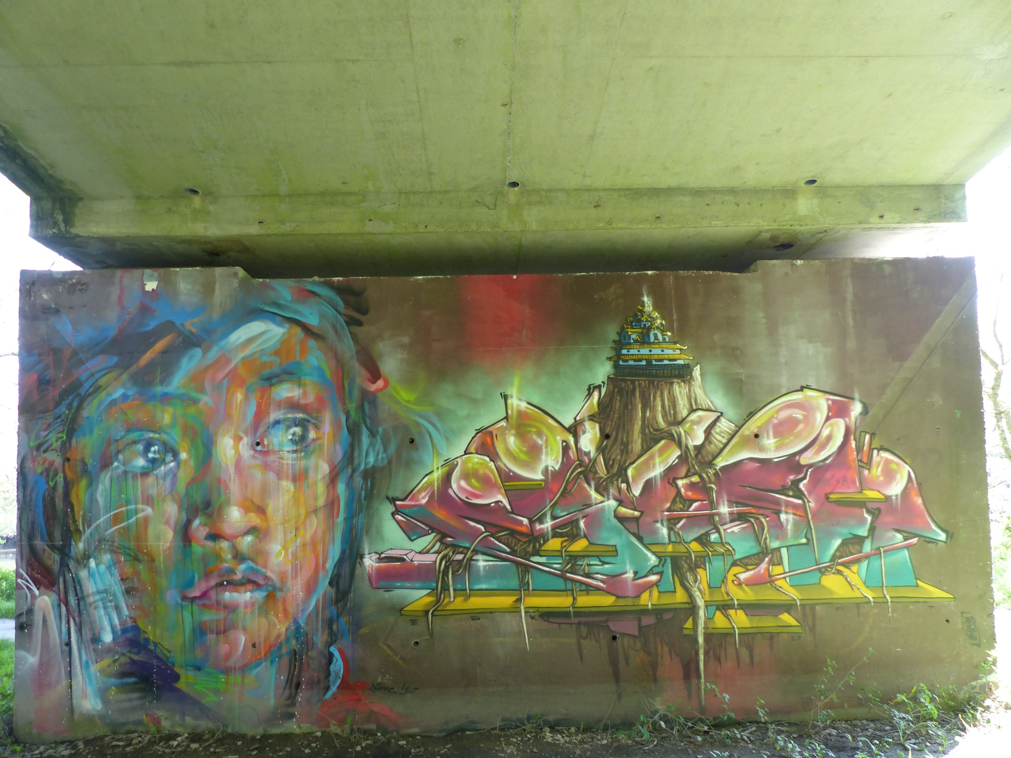 Graffiti 55  de Sêma Lao capturé par Rabot à Nantes France